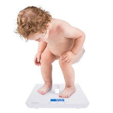 Load image into Gallery viewer, Oricom DS1100 Digital Scales